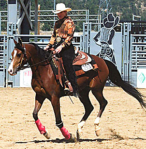 SA Auralee, Reining class in 2005 in Colo.